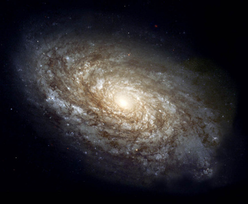 The Milky Way